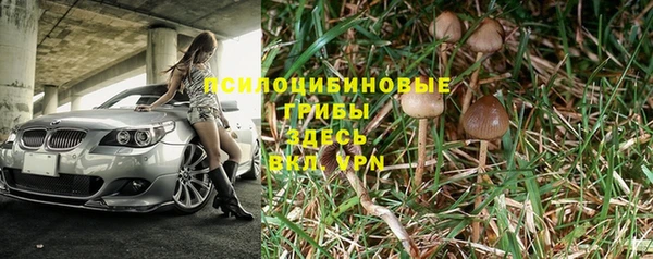 бошки Балахна