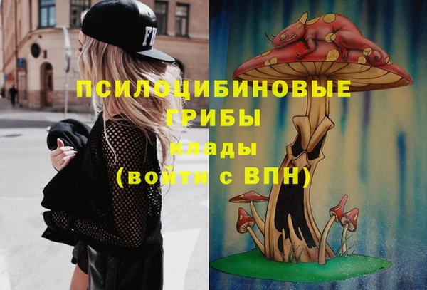 мяу мяу мука Беломорск
