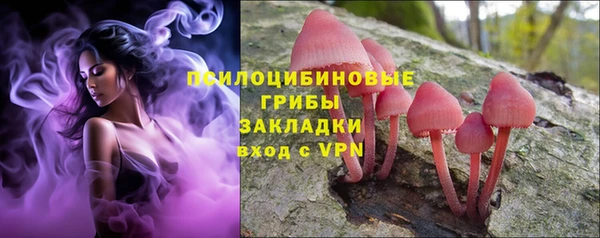 прущие крисы Баксан