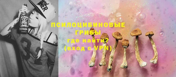 бошки Балахна