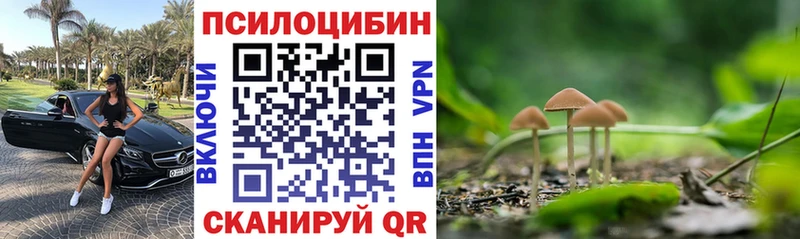 Псилоцибиновые грибы GOLDEN TEACHER  где купить наркоту  Рудня 